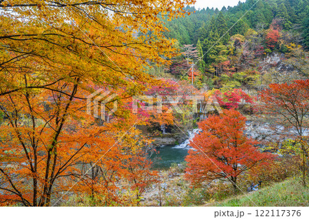 豊田市の大井平公園の紅葉と井の淵の風景(愛知県) 122117376