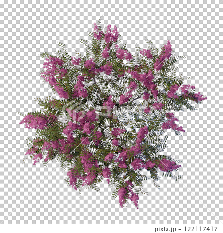 tree top view plant landscape architecture nature garden aerial render. trees branch isolate collection illustration environment green botany urban bush park. tree architecture conifer decorative. 122117417