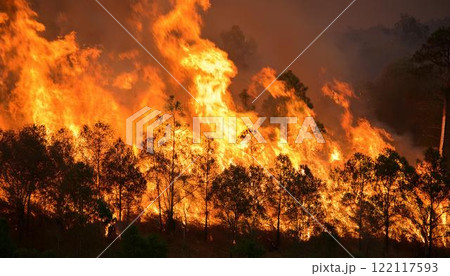 燃え広がる山火事と自然の危機3 122117593