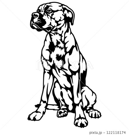 Boxer Dog Breed - Pet Vector Cut file, Dog Silhouette Stencil - Cricut file 122118174