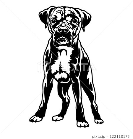 Boxer Dog Breed - Pet Vector Cut file, Dog Silhouette Stencil - Cricut file 122118175
