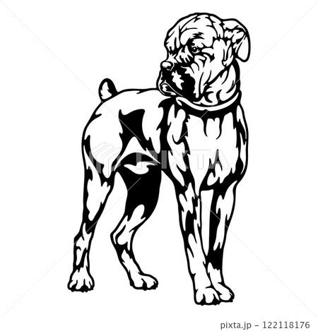 Boxer Dog Breed - Pet Vector Cut file, Dog Silhouette Stencil - Cricut file 122118176