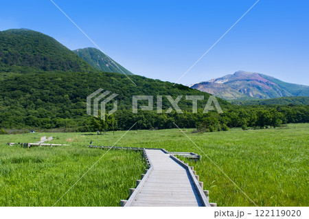 新緑の長者原 タデ原湿原とくじゅう連山 新緑の長者原 タデ原湿原とくじゅう連山 122119020