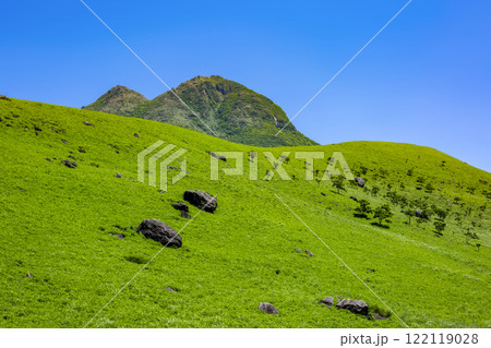 新緑の草原と由布岳 122119028