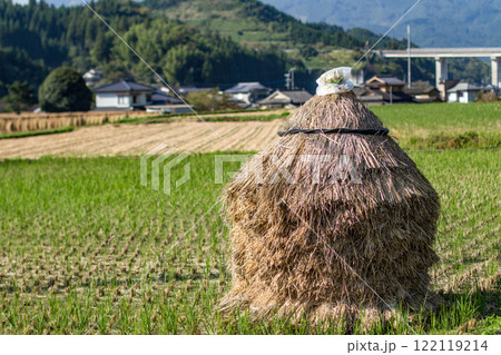 藁小積 122119214