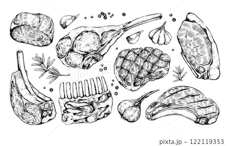 Meat sketch. Beef steak, grill food like bbq pork, vintage butchery lamb menu cover decorative. Piece of sirloin rib, raw ingredients. Kitchen hand drawn elements. Vector butcher graphic set 122119353