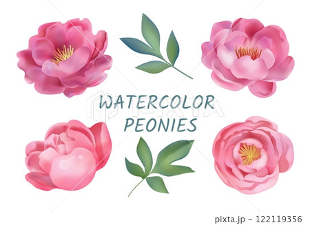 Watercolour flowers. Floral peony leaf, isolated watercolor blooms, hand painted pink peonies. Decorative elegant plant, wedding spring decor, summer botanical isolated vector blossoms set Watercolour flowers. Floral peony leaf, isolated watercolor blooms, hand painted pink peonies. Decorative elegant plant, wedding spring decor, summer botanical isolated vector blossoms set 122119356