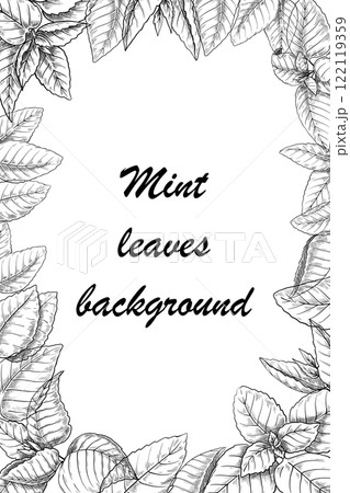 Mint leaves background. Sketch style frame, banner or poster design, hand drawn botanical elements, herbal engraving style flyer. Peppermint or spearmint leaf. Vector monochrome illustration 122119359