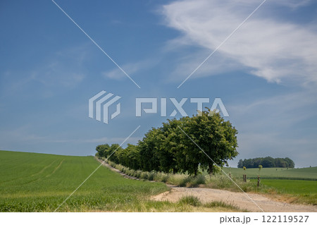 Spring country in Moravia (Morava), Czech republic Spring country in Moravia (Morava), Czech republic 122119527