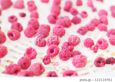 Process of drying raspberry berries in a kitchen appliance. Raspberry in a dryer. Preparing dried sweet berries at home. Delicacy that will keep for a long time. Process of drying raspberry berries in a kitchen appliance. Raspberry in a dryer. Preparing dried sweet berries at home. Delicacy that will keep for a long time. 122119761