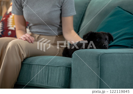 A Cozy Moment Black Dog Snuggling on Couch with Owner, Enjoying Their Time Together A Cozy Moment Black Dog Snuggling on Couch with Owner, Enjoying Their Time Together 122119845