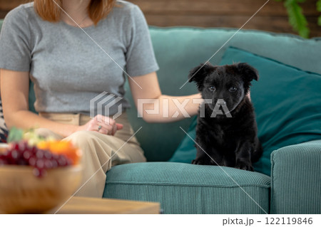 A cozy living room with a dog and a woman relaxing comfortably together, enjoying company 122119846