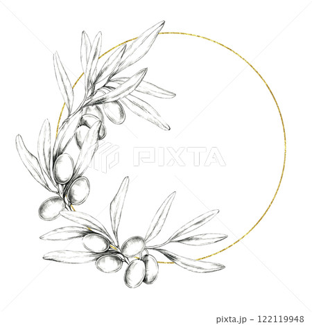 Olive branch pencil drawing clipart. Circular frame adorned with detailed olive fruits and leaves, highlighted by a subtle golden line. Ideal for invitation designs, branding, and packaging artwork 122119948