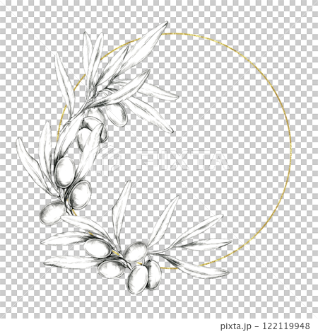 Olive branch pencil drawing clipart. Circular frame adorned with detailed olive fruits and leaves, highlighted by a subtle golden line. Ideal for invitation designs, branding, and packaging artwork 122119948