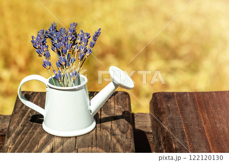 Lavender flowers in a white watering can on a rustic wooden surface 122120130