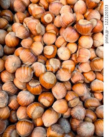 Harvested hazelnuts gathered in a vibrant autumn market display Harvested hazelnuts gathered in a vibrant autumn market display 122120333