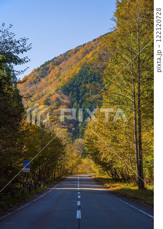国道257号線沿いの紅葉《岐阜県清見町》 122120728