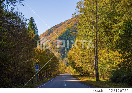 国道257号線沿いの紅葉《岐阜県清見町》 122120729
