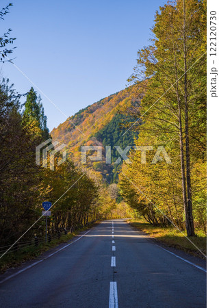 国道257号線沿いの紅葉《岐阜県清見町》 122120730