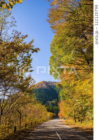 国道257号線沿いの美しい紅葉《岐阜県清見町》 国道257号線沿いの美しい紅葉《岐阜県清見町》 122120799