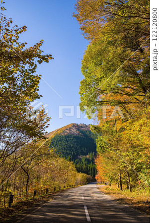 国道257号線沿いの美しい紅葉《岐阜県清見町》 122120800