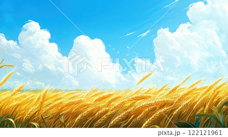 Golden wheat field under a bright summer sky with fluffy clouds. 122121961