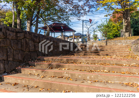 公園の階段を登る 122122256