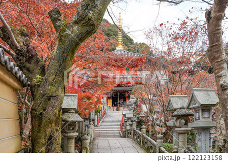 信貴山大本山成福院 信貴山大本山成福院 122123158