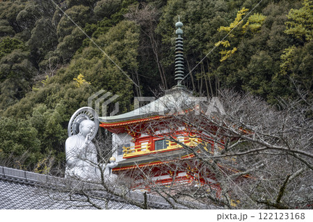 信貴山朝護孫子寺参道より大地蔵尊と三重塔霊明殿を望む 信貴山朝護孫子寺参道より大地蔵尊と三重塔霊明殿を望む 122123168