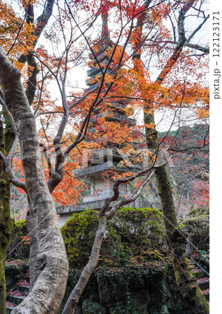 信貴山朝護孫子寺　十三塔と紅葉 122123171