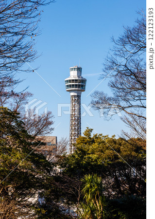冬の木々の間から見える展望タワー 122123193