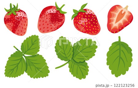 Strawberries Set with Berries and Leaves Isolated on White Background. Summer strawberries, whole and sliced. Strawberries Set with Berries and Leaves Isolated on White Background. Summer strawberries, whole and sliced. 122123256
