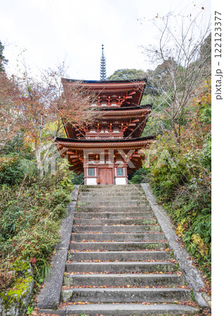 浄瑠璃寺　三重塔 122123377