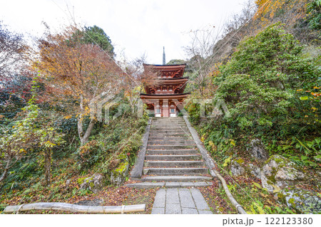 浄瑠璃寺　三重塔 122123380