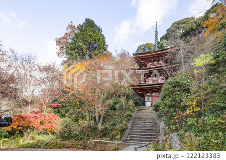 浄瑠璃寺　三重塔 122123383