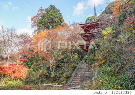 浄瑠璃寺 三重塔 浄瑠璃寺 三重塔 122123389