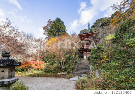 浄瑠璃寺　三重塔 122123406