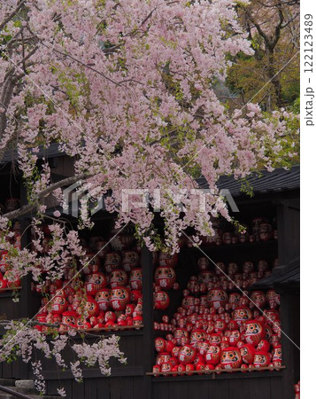 春の勝尾寺 桜とだるま 春の勝尾寺 桜とだるま 122123489