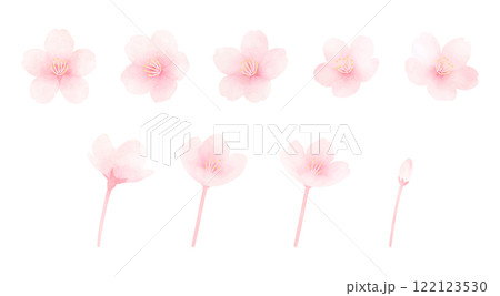 満開の桜の水彩イラストセット　かわいい手描きの春の花の素材 122123530