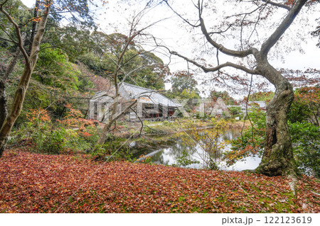 浄瑠璃寺　本堂（阿弥陀堂） 122123619
