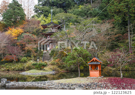 浄瑠璃寺　中島と三重塔 122123625