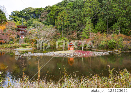 浄瑠璃寺 中島と三重塔 浄瑠璃寺 中島と三重塔 122123632
