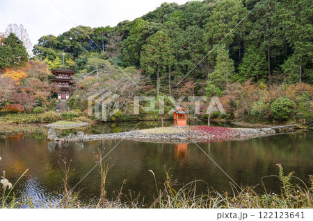 浄瑠璃寺　中島と三重塔 122123641