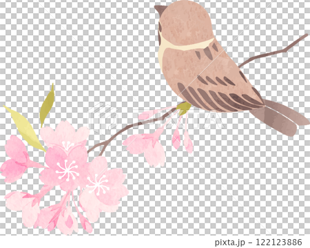 桜の枝にとまる雀のイラスト 122123886