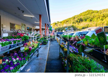 花・花の種　商品棚　物産品センターなんかん　いきいき村　(南関町) 122124151