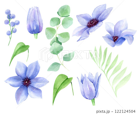 Clematis flowers and eucalyptus bundle isolated on white. Watercolor hand drawn floral greenery clipart elements. Botanical illustration set for greeting cards, wedding invitations, packaging 122124504