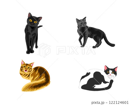 猫4種 122124601