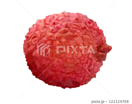 ライチ（1個） 122124708