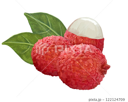 ライチ（3個）葉付き 122124709