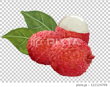 ライチ（3個）葉付き 122124709